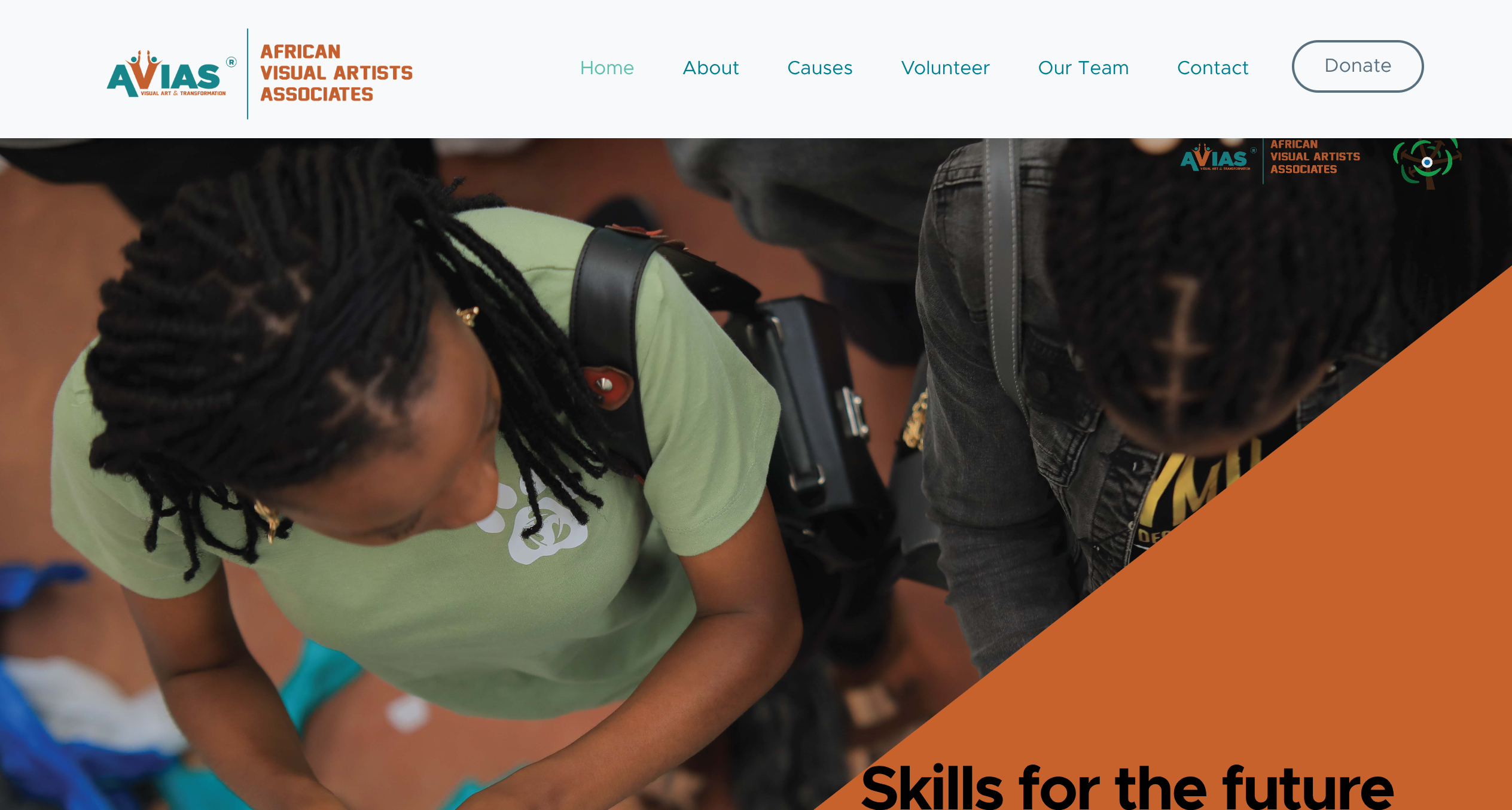 African Visual Artist Associate